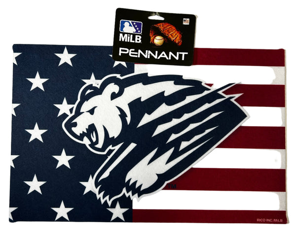 Grizzlies USA Pennant